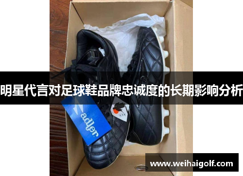 明星代言对足球鞋品牌忠诚度的长期影响分析