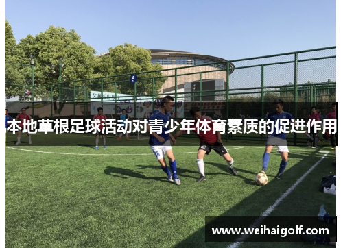 本地草根足球活动对青少年体育素质的促进作用